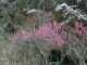 20000416/80 x 60 thumbnail image